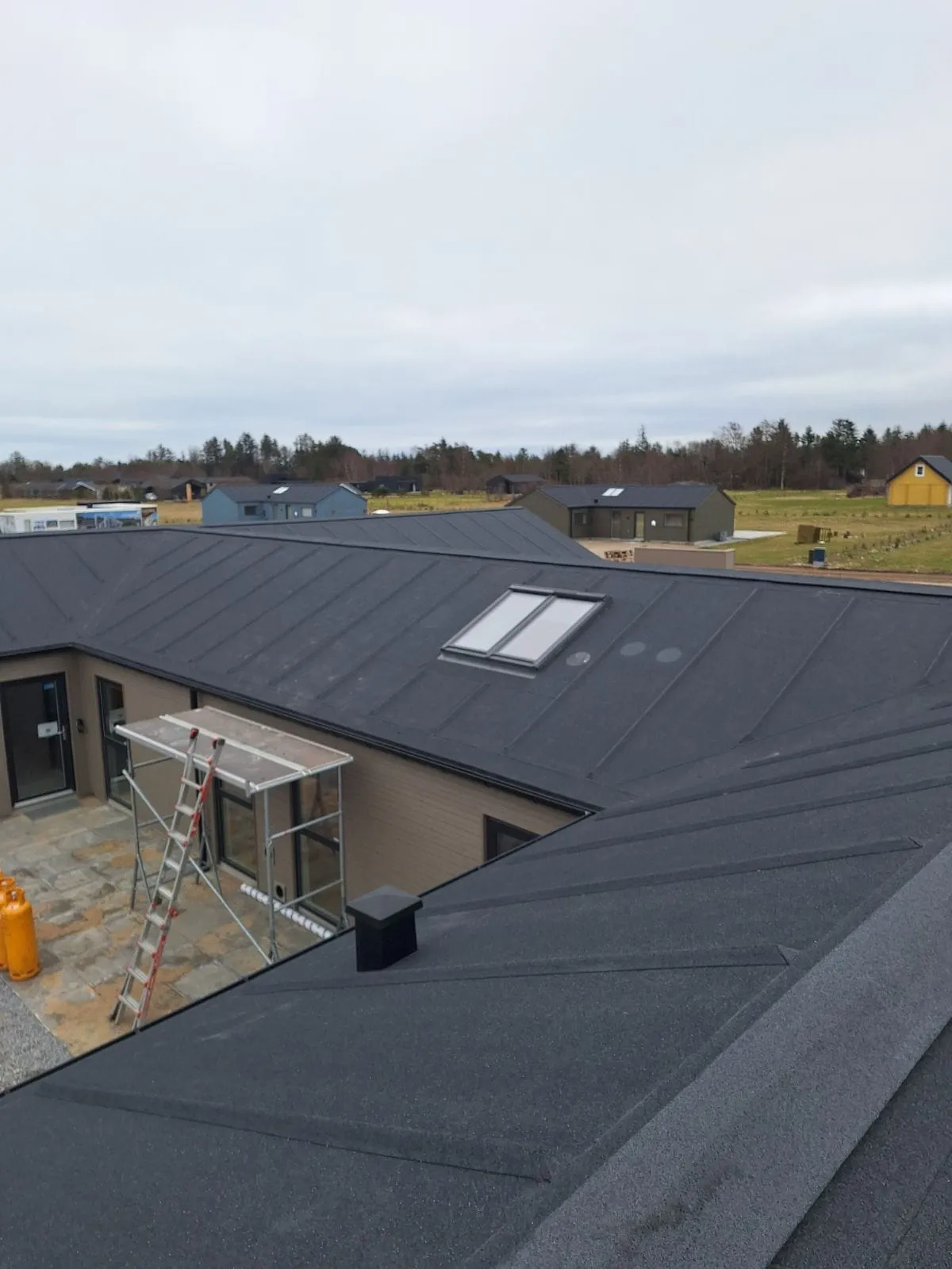 Billedet viser et moderne enplanshus med et mørkt, sort tag og et centralt placeret ovenlysvindue.